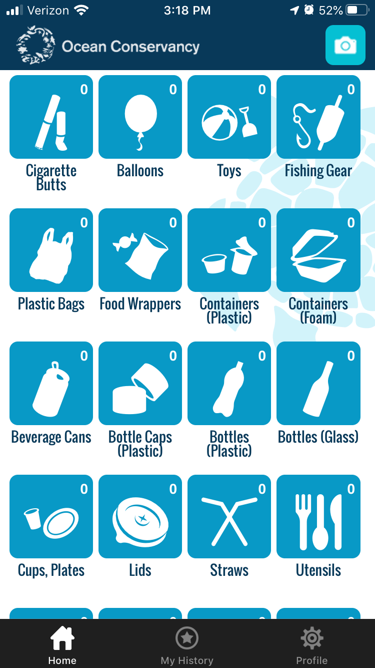 Screenshot of the CleanSwell app.