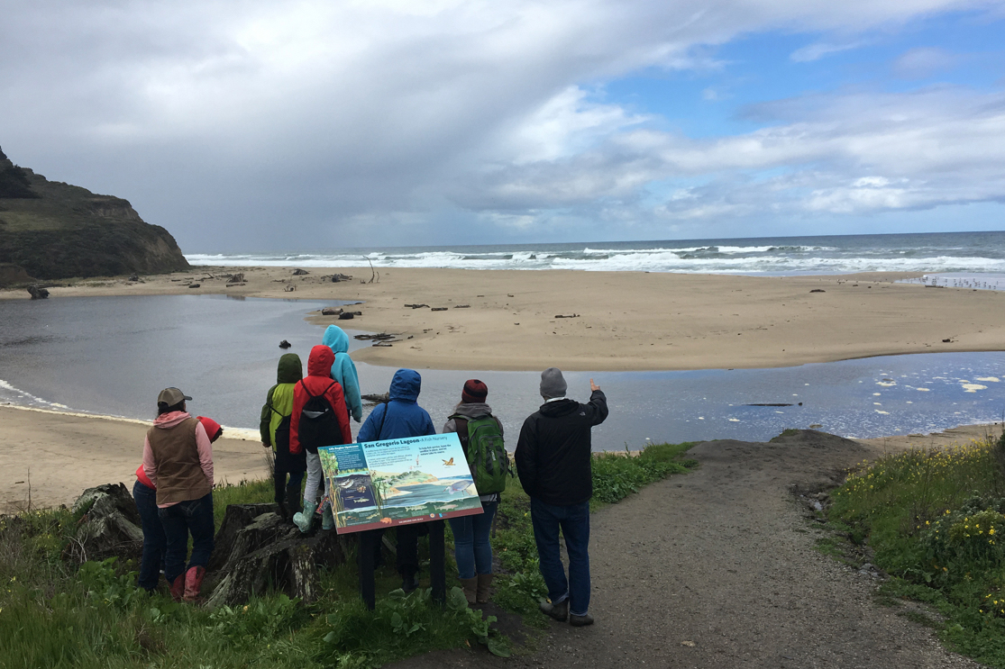Group of students and SGERC member observing the San Gregorio State Beach lagoon.