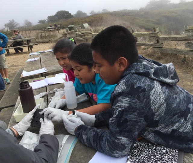 A group of students discuss their observations with an SGERC member at San Gregorio State Beach.