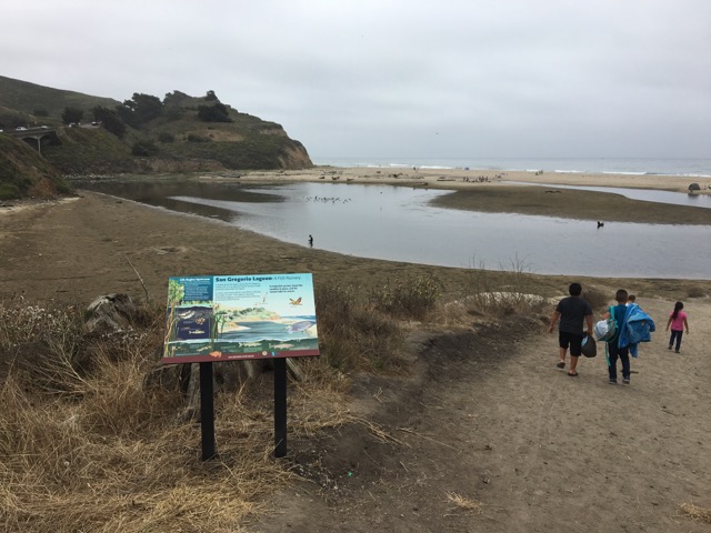 Join us Sept. 16th for Coastal Cleanup Day, and see the new Interpretative Panel at San Gregorio State Beach