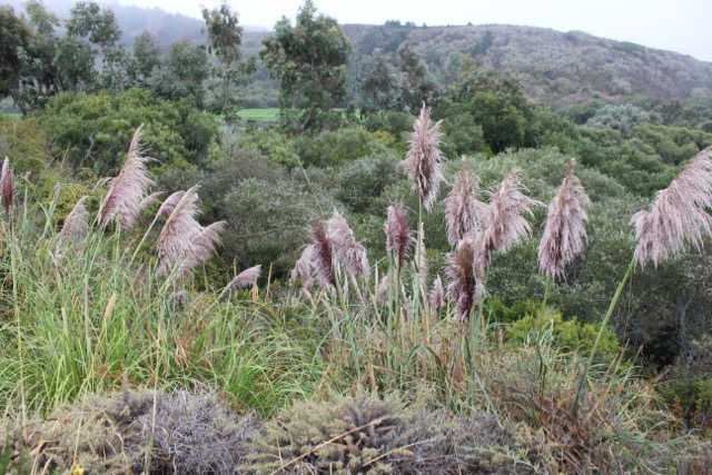 What DON’T You See?