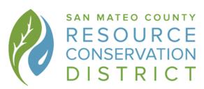 The Importance of Natural Debris in Your Creek