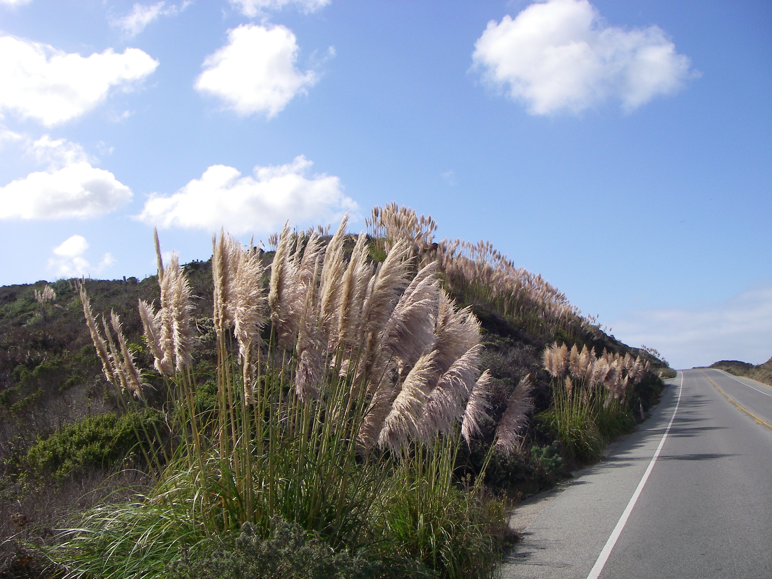 Do you want this? ....