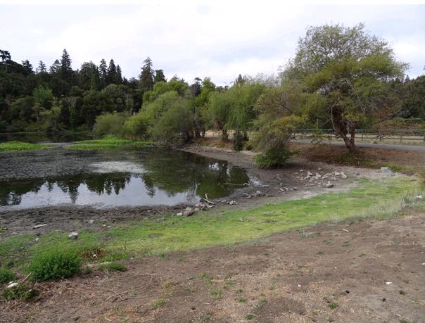 Drought and Rationing!