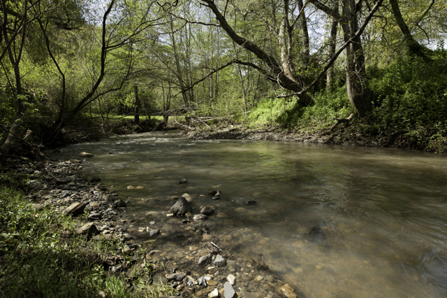 SGERC Seeking Executive Director