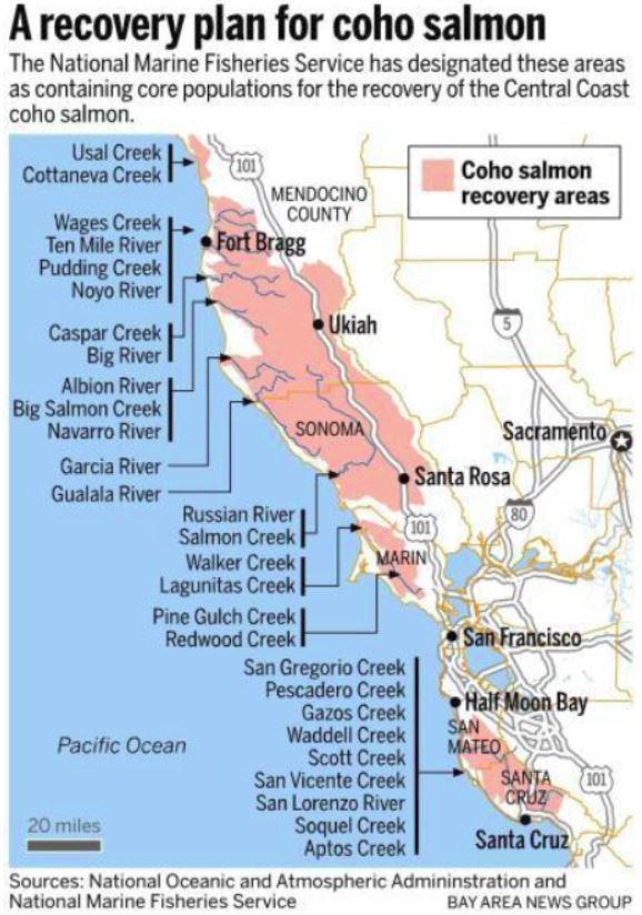 Plan to Save Coho Salmon