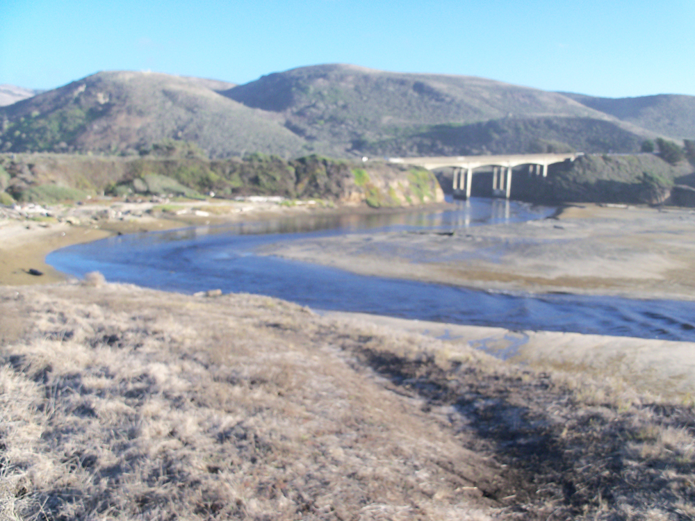 View of the meandering stream at San Gregorio State Beach.