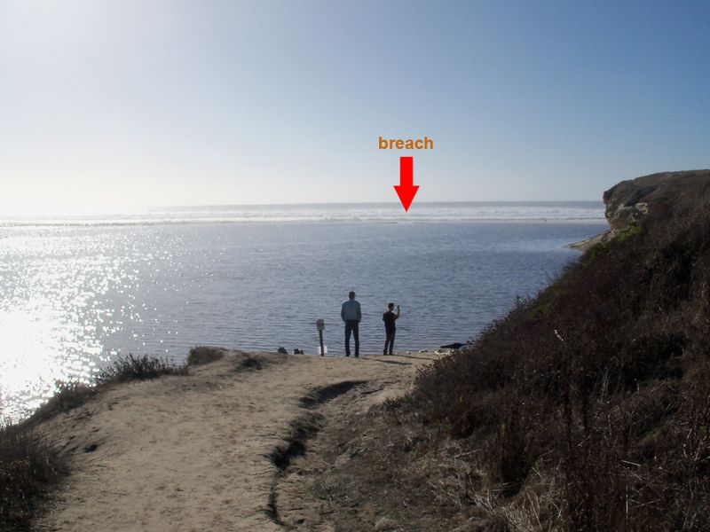 Working Towards a Healthy San Gregorio Lagoon
